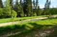 /album/fotogaleria-pozemky/or-lesna-pozemky-20-05-2014-011-jpg1/